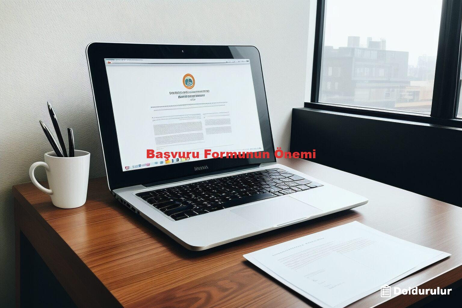 Başvuru Formunun Önemi